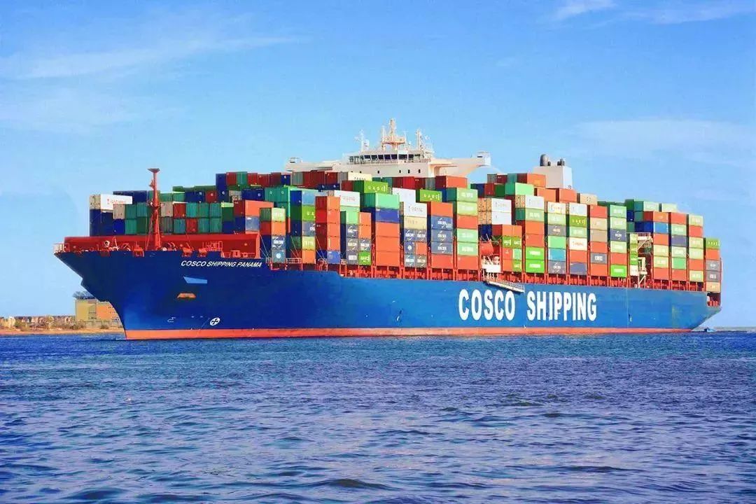 COSCO SHIPPINGs 2021 Profit of 89.3 Billion CNY COSCO SHIPPING、2021年の利益は893億元