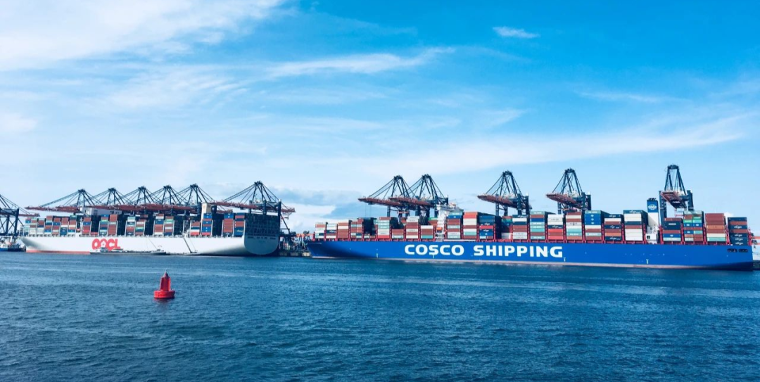 COSCO SHIPPINGs 2021 Profit of 89.3 Billion CNY_3 COSCO SHIPPING、2021 年の利益は 893 億 CNY_3