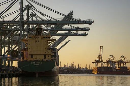 ZIM EXPRESS SHIPPING ZIMエクスプレス配送