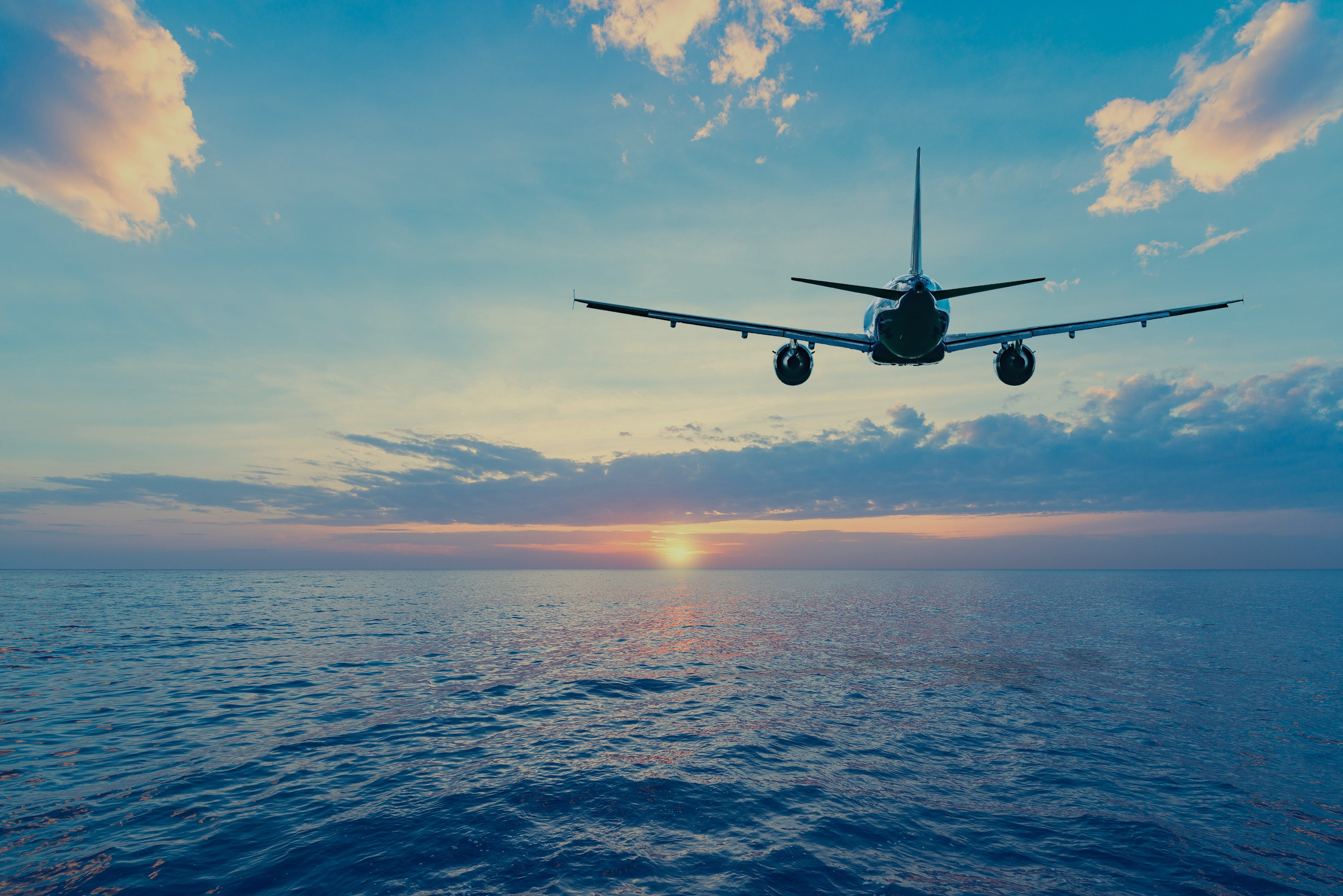 航空貨物輸送サービス