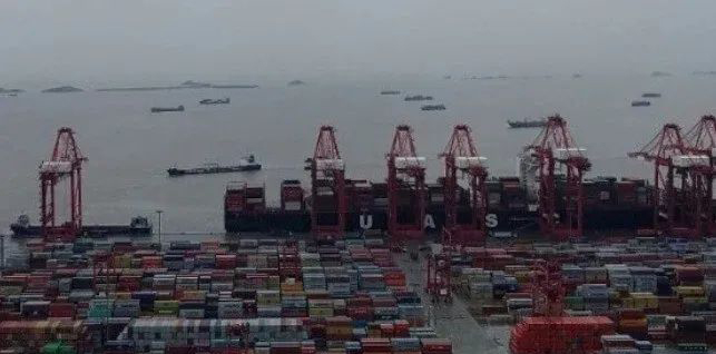 1,862 Container Ships Congested in Ports Worldwide 世界中の港で1,862隻のコンテナ船が混雑