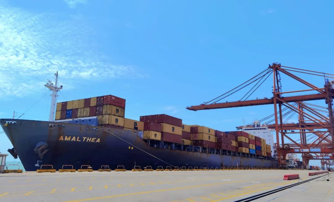 MSC、Seagull Service_2にDaChan Bay Callを追加