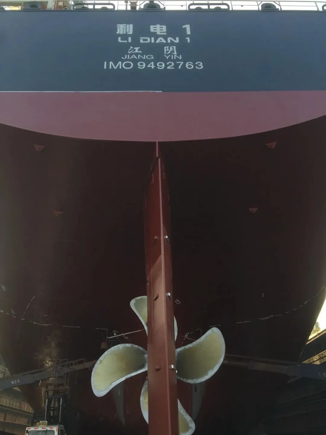 MSC はスリランカのクジラを救うために方針を変更-9